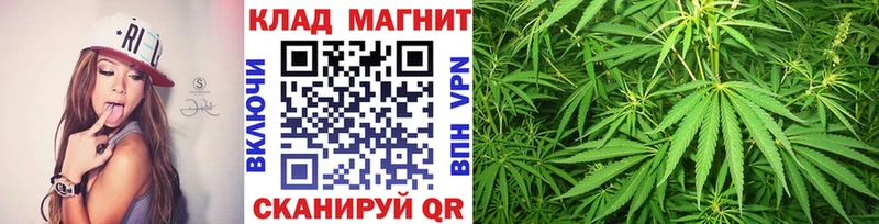 Продажа наркотиков Чкаловск Cocaine  Галлюциногенные грибы  Героин  A PVP  Бошки Шишки  МЕФ  ГАШ 