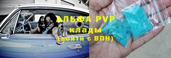 прущие грибы Абаза