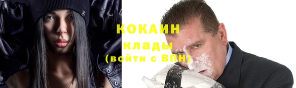 прущие грибы Абаза