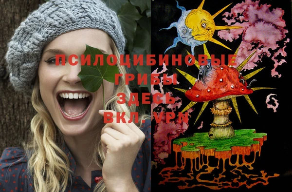 spice Абинск