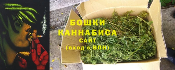 прущие грибы Абаза