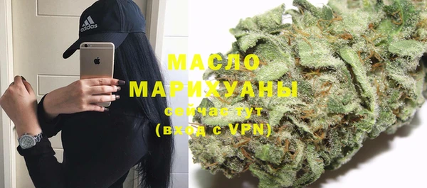 прущие грибы Абаза