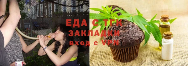 прущие грибы Абаза